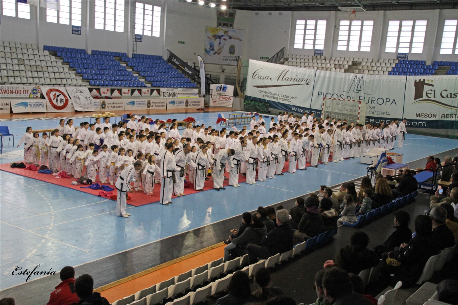 Taekwondo (237).jpg